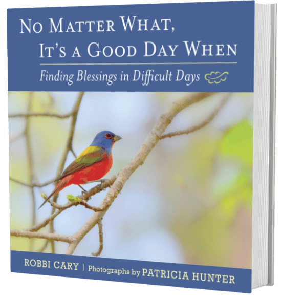 No Matter What, It's a Good Day When | Devotional by Robbi Cary with photos by Patricia Hunter
